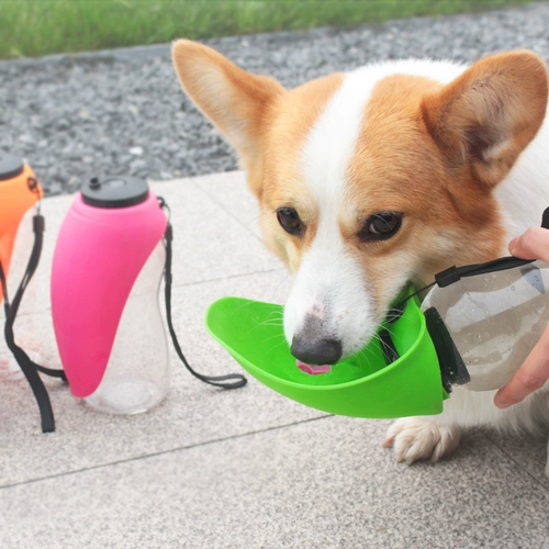 狗狗饮水器便携式水瓶喝水喂水户外遛狗水杯外出柯基宠物随行水壶
