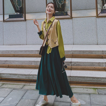 Pregnant women Net red set pregnant women autumn commuter long sleeve dress 2021 new vest contrast color shirt dress