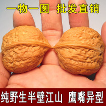 Wenwen walnut pure wild pig iron hemp walnut lion head half of the world shaped Big Eagle mouth walnut hand play parts