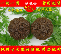 Wild play lion head walnut Toad head tiger head official hat give away to the old man alien big grimace 40mm