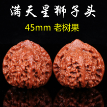 Wenwen walnut star lion head walnut hand handle walnut wild antique walnut hand play piece peach boutique