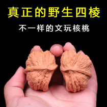 Four-sided alien text play with iron walnut wild iron lion head antique hand play