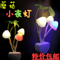 Avatar LED dream colorful mushroom light control night light bubble socket energy saving baby wall lamp feeding lamp