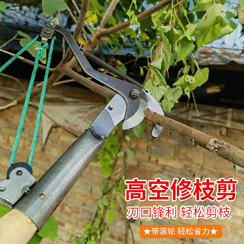 高枝剪高空剪树枝剪采果剪:摘采果修枝剪刀树枝剪可伸缩加长杆剪,轻松搞定高处难题!-剪刀-淘宝百科网