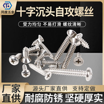 Factory direct sales SS 304 stainless steel cross recessed countersunk head self-tapping screws high-strength galvanized self-tapping self-drilling screws