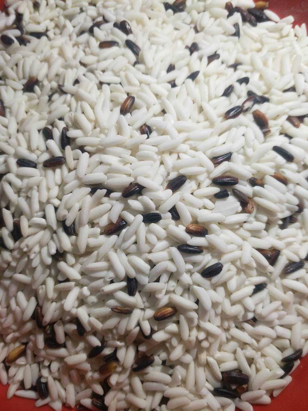 Rice in Taiwan Rice Balls Special Rice Over Road Stick Rice Soft Glutinous Rice Balls Soft Glutinous grade white glutinous rice glutinous rice Glutinous Rice Balls for exclusive rice