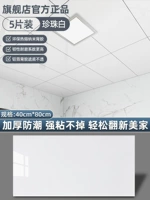 Из жемчуга, 40см, 80см, 5 штук