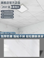 Морозно-белый Ⓜ️️️️40см*80см/шт [20 шт ≈ 6,4 кв.м]