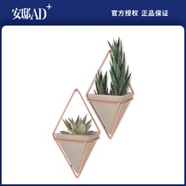 UMBRA Trig wall decoration series wall decoration flower stand Nordic wall hanging green plant decoration