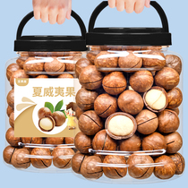 Macadamia nuts 500g creamy summer fruit whole box 5 catties original nut combination dried nuts bulk pregnant women snacks