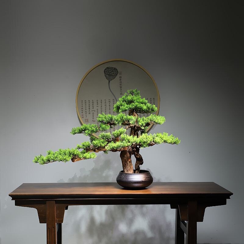 养生产品厂家