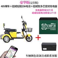 Позиционирование версии 48 В голая автомобиль + 20а супер -престиж кислота