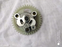 Bashan Longxin Lion Run Runtong Aitmei New Construction Motorcycle ATV Accessories ATV250 Oil Pump