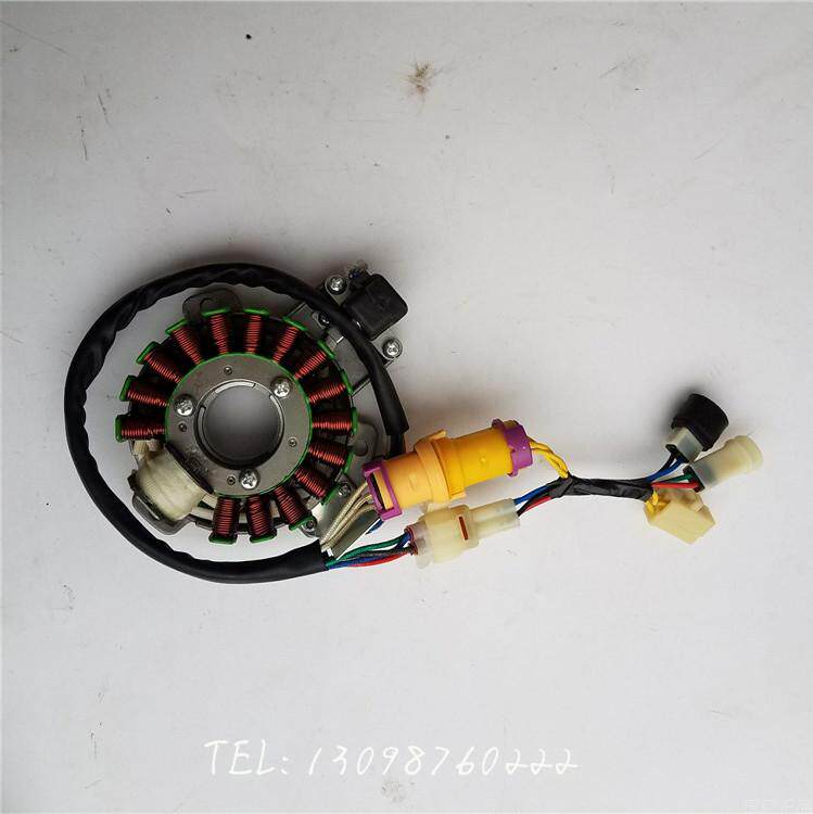Bashan Longxin Lion Runs Erte Beauty New Cross Country Construction Beach Car Accessories ATV250-3 Stator Old