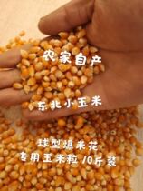 10 Jin new goods spherical popping small Corn Popcorn Popcorn special small corn corn Bud raw material