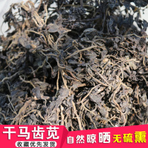 Wild purslane dried edible farmhouse specialty purslane tea dish 250g fresh wild vegetable steamed buns stuffing 3 servings