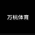 万桃体育  只售正品的LOGO