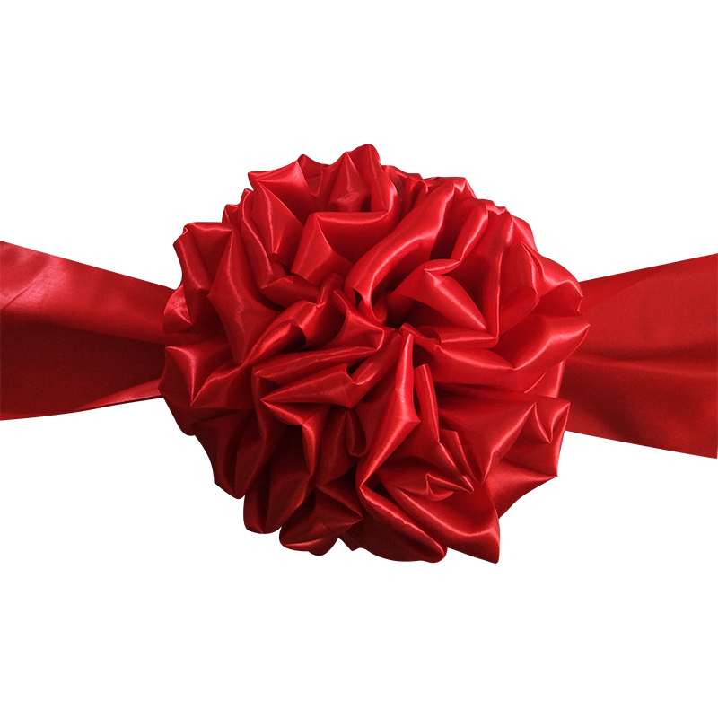 Open Ceremony Hd Transparent, Opening Ceremony, Ribbon, Bow PNG