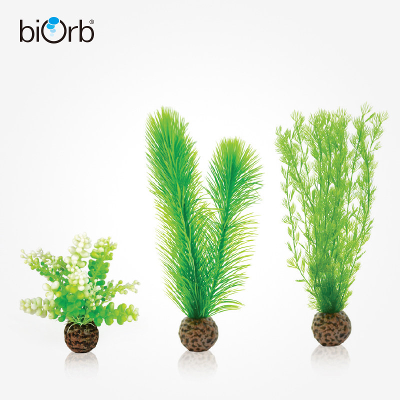 biorb British fish tank aquarium natural decoration green water fern simulation landscape