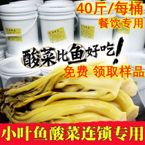 Tai Sauerkraut Two Fish Sauerkraut Laotan Seasoning Sauce Special for Guangdong Self-pickled Catering Crispy and Tenderless Small Mustard Barrel
