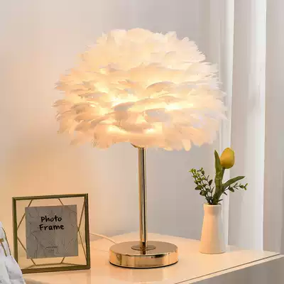 Princess ins girl bedroom bedside lamp warm romantic creative small desk lamp feather lamp wedding gift Net red light
