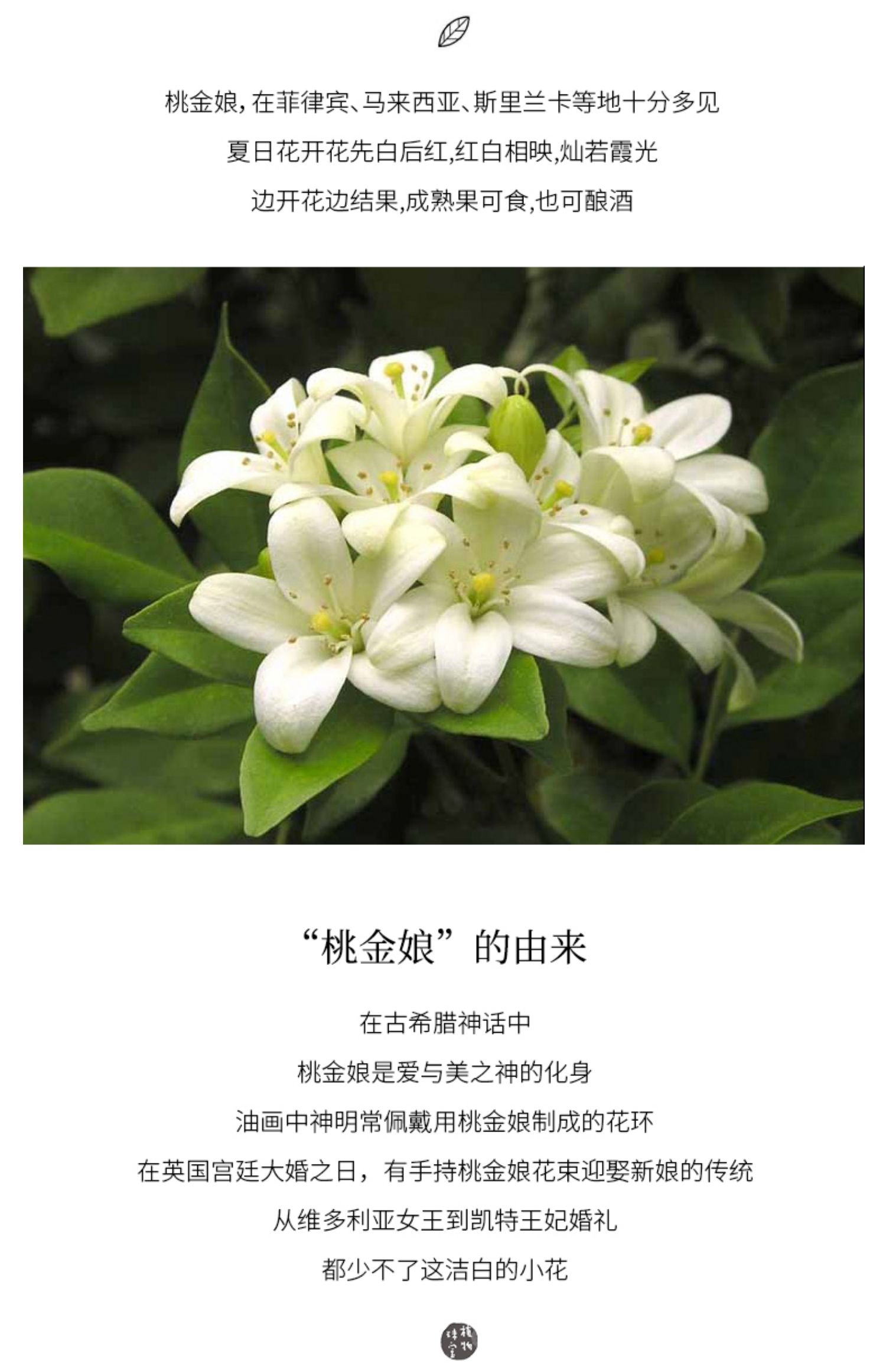 商品详情图