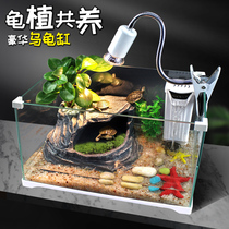 Small turtle special tank feeding box with sun table Villa glass household box Brazilian turtle fish mixed tank fish tank