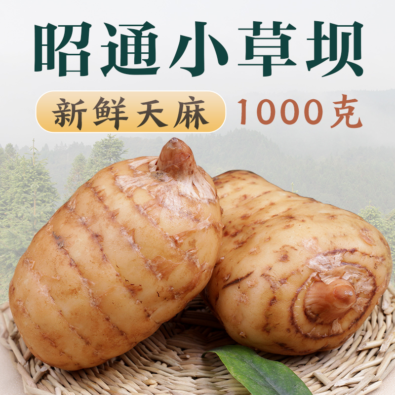 Yunnan Zhaotong Fresh Gastrodia Grass Dam Origin Now Excavated Straight Fresh Gastrodin Non Wild Non-Wild Non-Grade Guizhou Winter Hemp