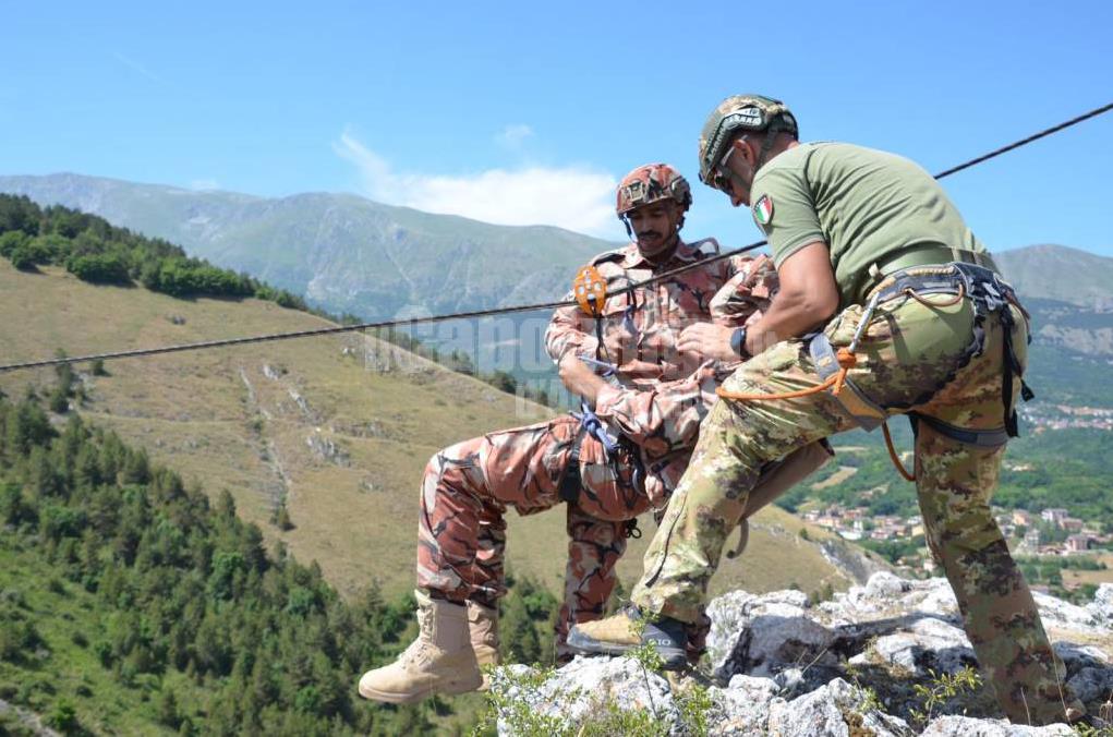 Italian public hair army green ESERCITO ITALIANO summer short-sleeved slim men's lapel POLO shirt