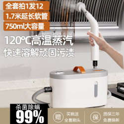 High-Temperature Steam Cleaner for Household Cleaning, Kitchen Range Hoods, Window Glass, Gas Stoves, Air Conditioners, and Grout Cleaning