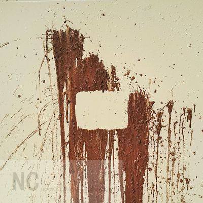 Naro Can NC310 Furniture Innate Piano Lacquered Finish Wall Lacquered Oleophobic Hydrophobic solvent 200ml