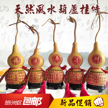 Small gourd natural small gourd pendant carving gourd Baifu Baifu zhaicai home decoration