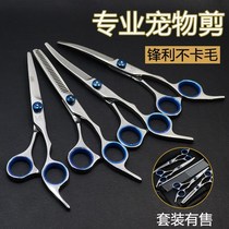 Pet grooming tool trimming shears set for dog shears