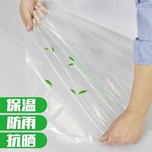 膜样品+高质量洗刷大王8个