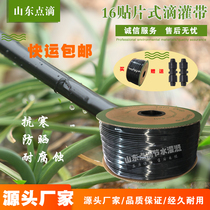 Patch type drip irrigation belt Agricultural automatic drip dropper Greenhouse drip irrigation pipe Water spray micro spray irrigation water belt Sprinkler irrigation belt