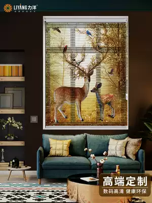 Printed aluminum alloy blinds, lifting roller blinds, folding office shading, kitchen powder room, expansion, free punching