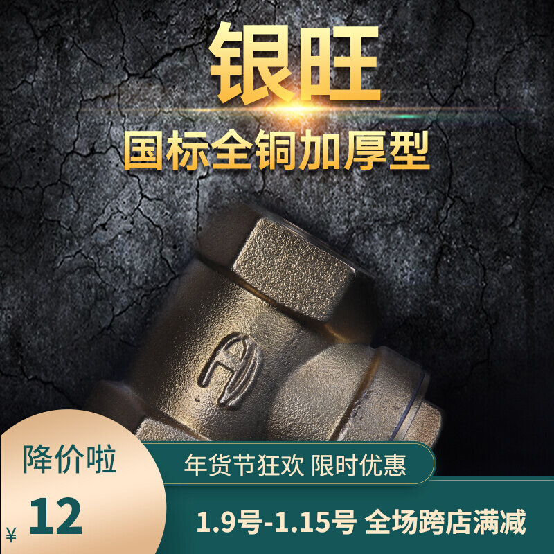46 min 1 inch copper horizontal water pipe check valve DN15DN20 water pump check valve check valve