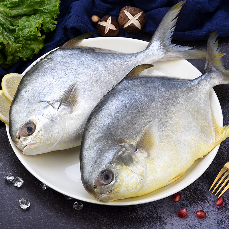 аллергичная рыба. килька что за рыба. рыбы санкт-петербурга. ассортимент рыбного магазина. рыбная лавка в питере?.