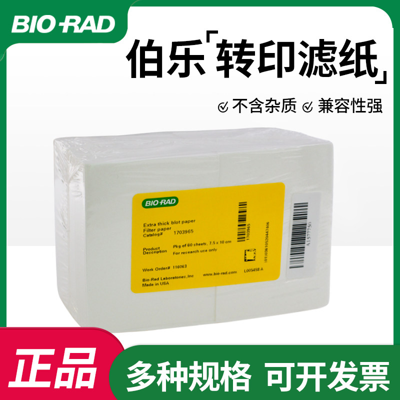伯乐BIO-RAD电泳转印滤纸WB转膜湿转半干转印衬垫加厚滤纸1703965