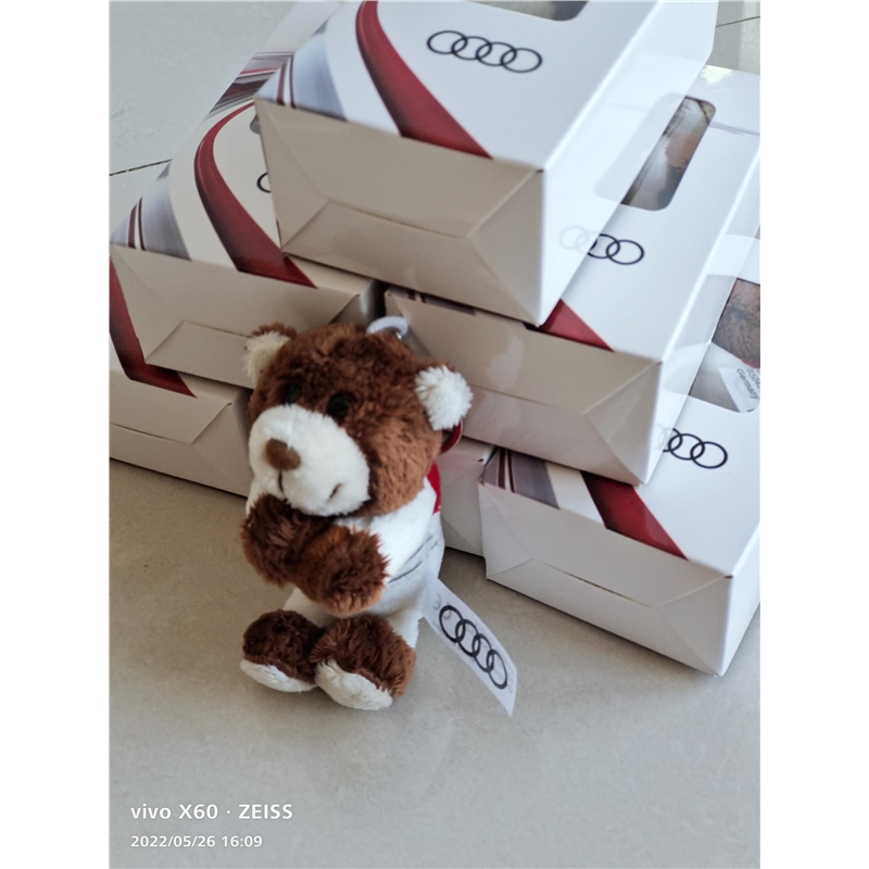 Audi Bear Keychain, Plush Teddy Bear, Bear Keychain Pendant Keychain Audi Bear Keychain, Plush Teddy Bear, Bear Keychain Pendant Keychain