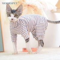 Живот живот четырехнокожих