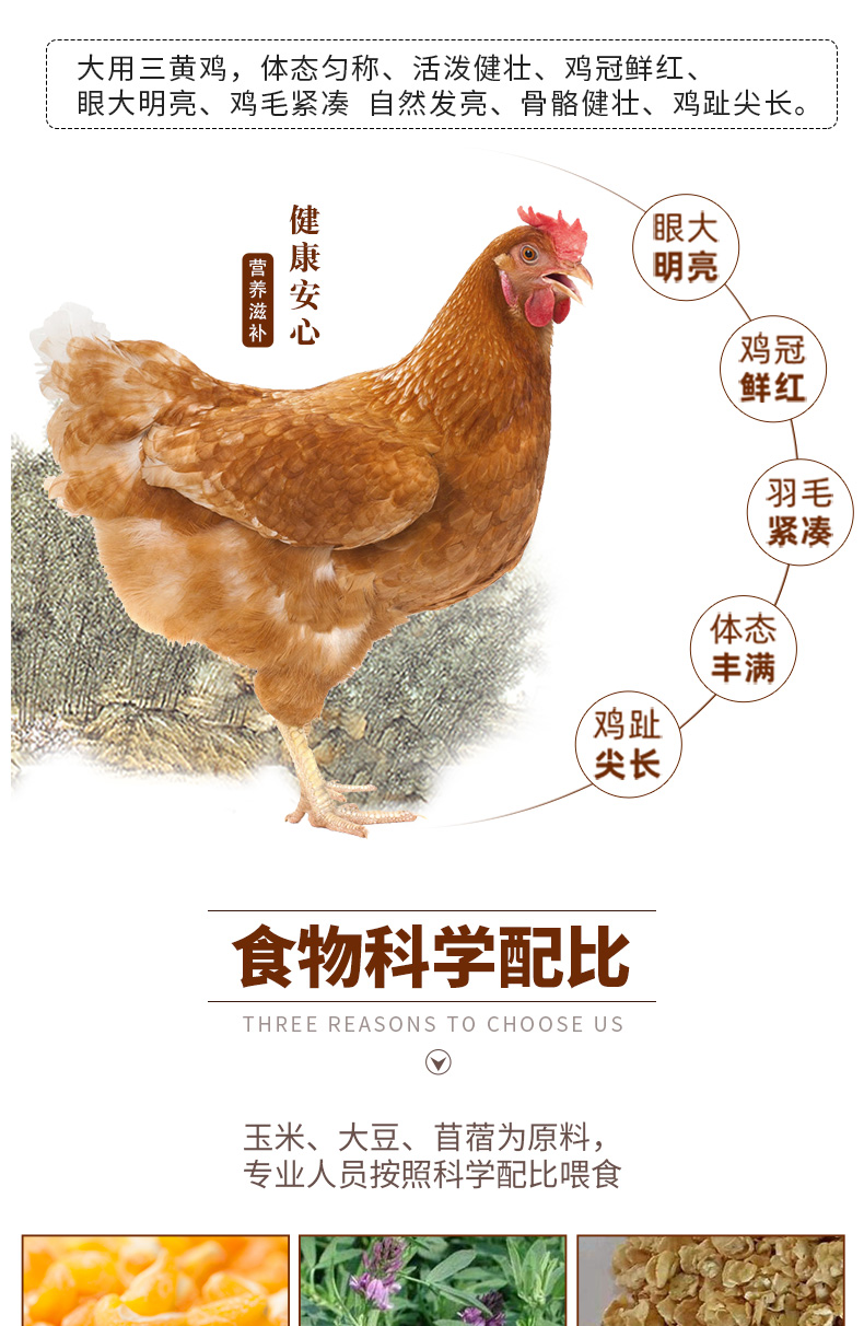 肯德基供应商 大用 农家散养三黄鸡 875g*2只 图2