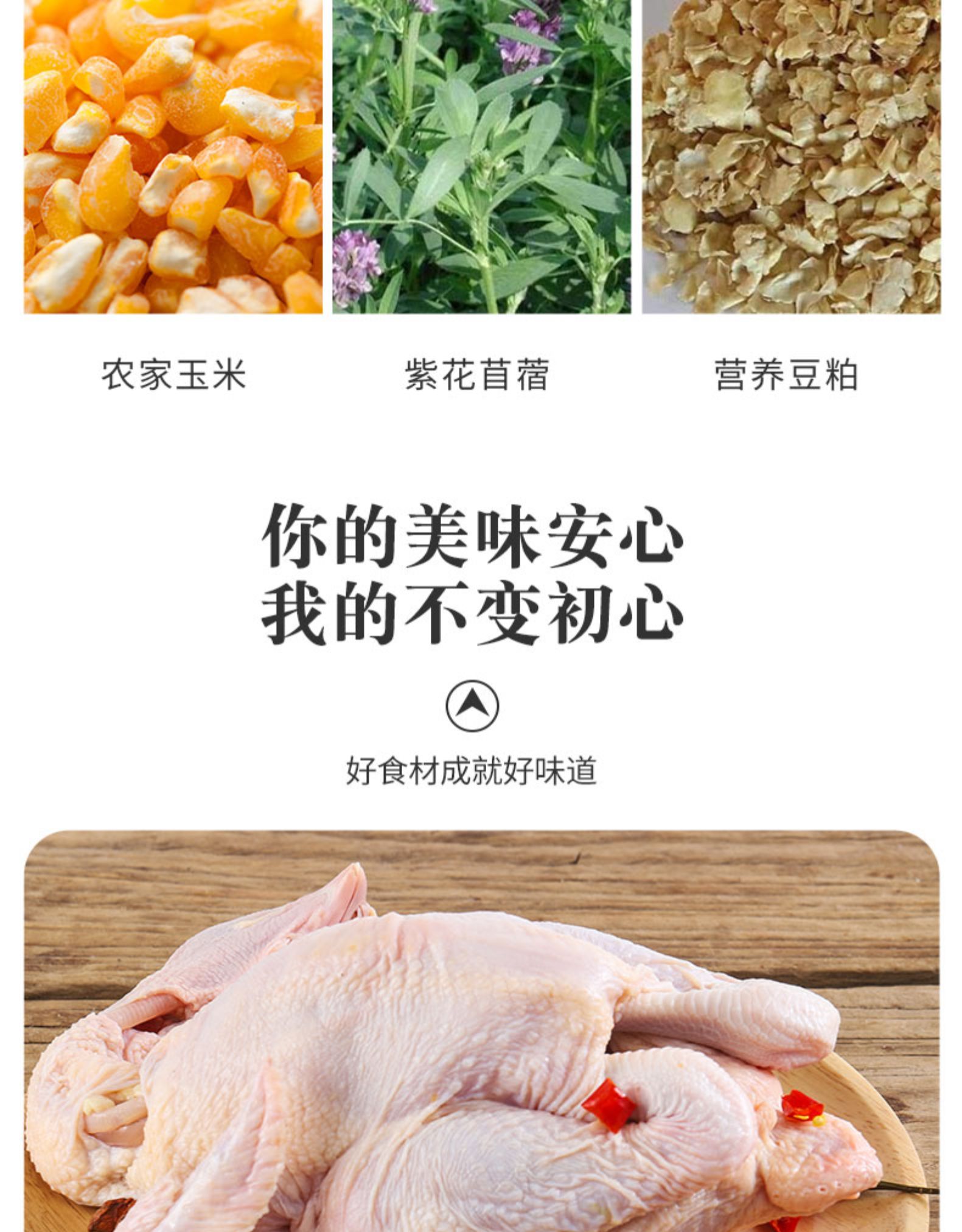 国家重点企业 大用 农家散养走地鸡 680g*4只 图6