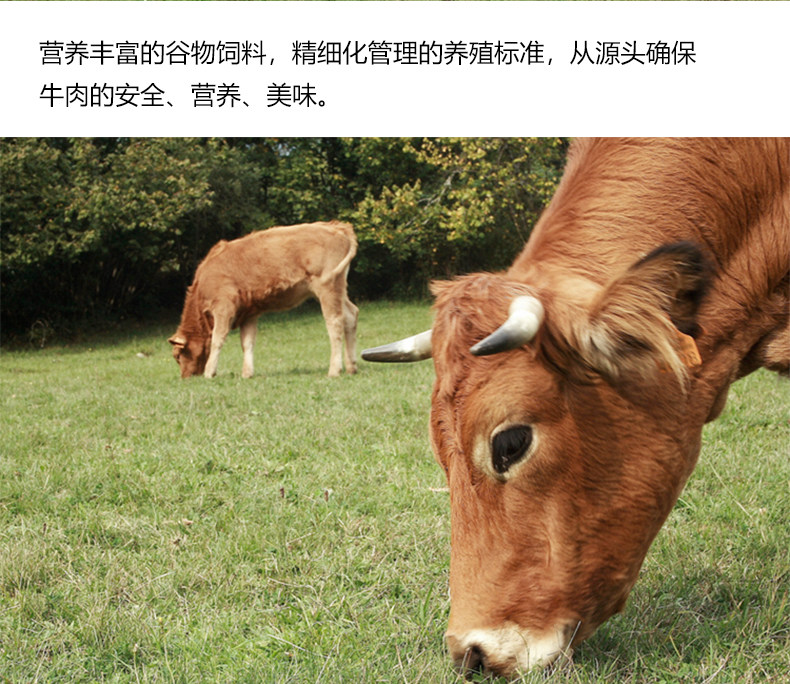 西贝莜面村 内蒙古牛腩块 1000g 图2