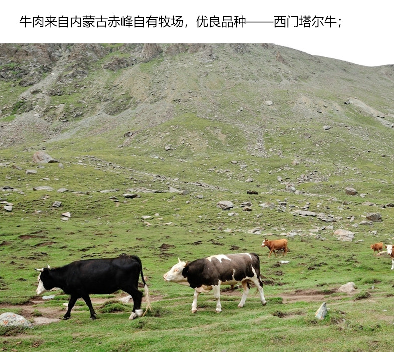 西贝莜面村 内蒙古牛腩块 1000g 图1