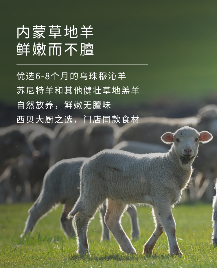 西贝莜面村 内蒙古牛羊肉大礼盒约9斤 图6