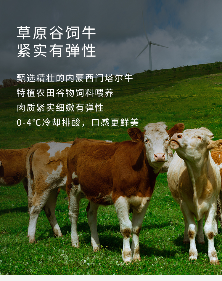 西贝莜面村 内蒙古牛羊肉大礼盒约9斤 图7