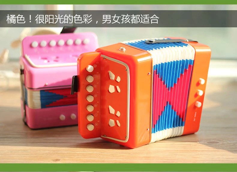 Trẻ em Accordion Đồ chơi Nhạc cụ 3-6 Người mới bắt đầu Âm nhạc Học sớm Câu đố Con gái Quà tặng Hướng dẫn