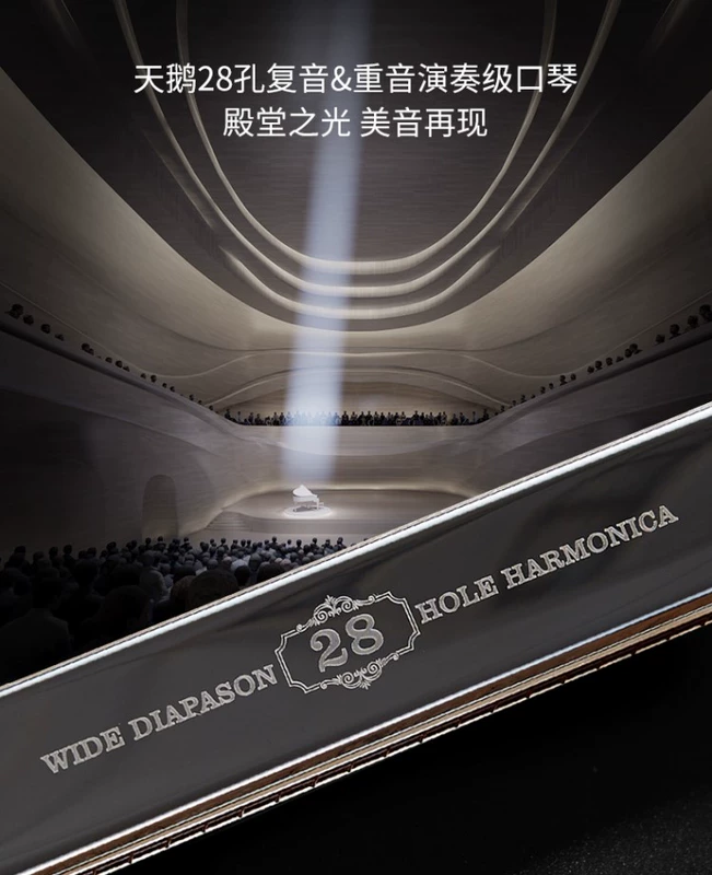 Swan Harmonica dành cho người lớn chuyên nghiệp nam và nữ 28 lỗ đa âm nhấn chơi giai điệu piano giai điệu mới bắt đầu nhạc cụ tiên tiến - Nhạc cụ phương Tây