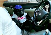 Korean creative chimpanzee doll bamboo charcoal bag car with active bamboo charcoal bag cartoon charcoal bag to remove odor and formaldehyde